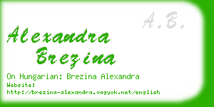 alexandra brezina business card